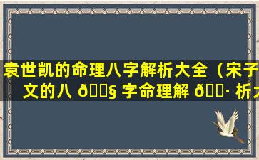 袁世凯的命理八字解析大全（宋子文的八 🐧 字命理解 🕷 析大全）